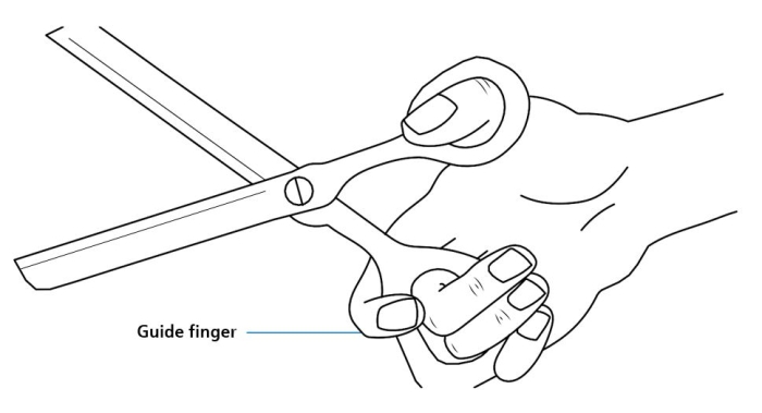 Image of how to hold scissors.JPG
